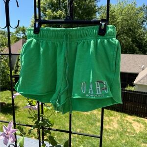 Beachy Green Oahu Shorts 🌴🐬 | Size XL | 🌊